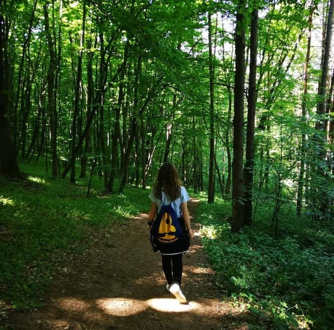 Belgrade: Kosutnjak forest hiking tour - Key Points