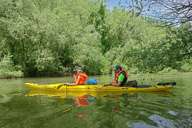Belgrade War Island Kayak Tour - Kayaking Activities