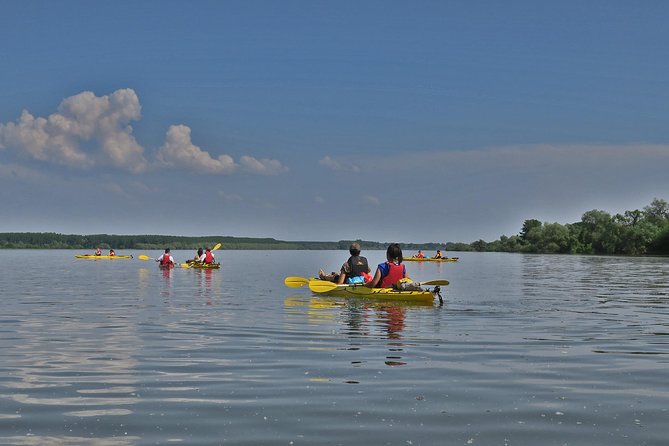 Belgrade War Island Kayak Tour - Military History