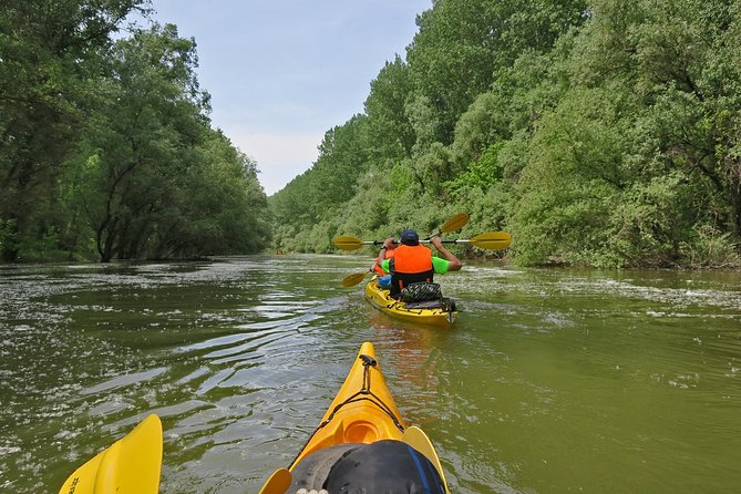 Belgrade War Island Kayak Tour - Tour Inclusions