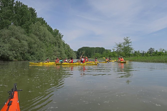 Belgrade War Island Kayak Tour - Important Considerations