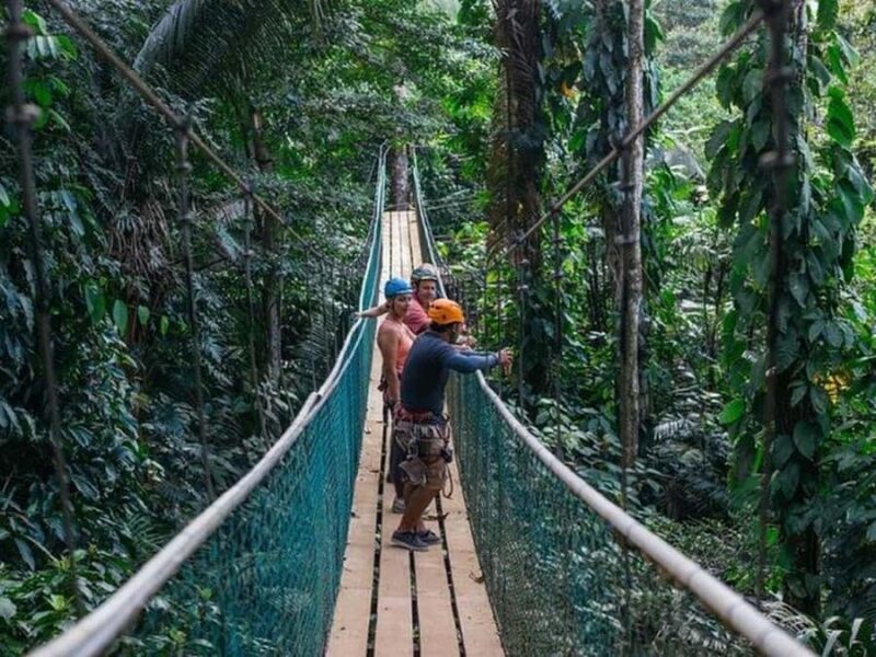 Belize: Thrilling Zipline Adventure at Bocawina Rainforest - Who Should Consider This Tour