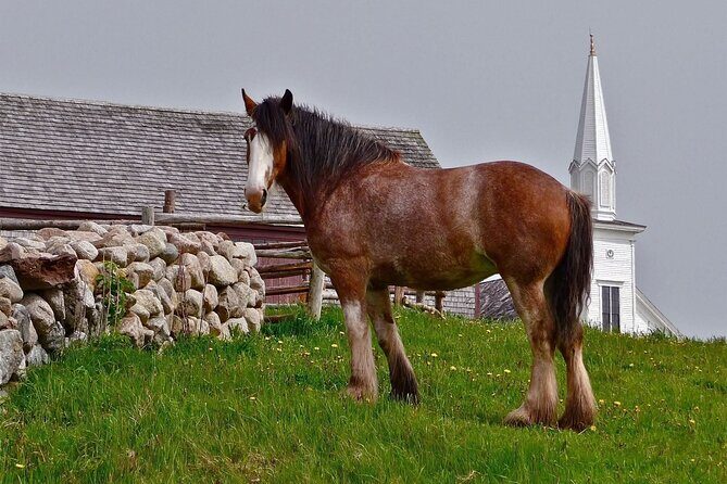 Bell Museum Baddeck to Highland Village Museum Iona - Final Thoughts