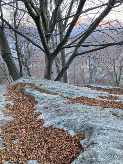 Bellagio: Easy Hike on the Mountains Above Lake Como - Key Points