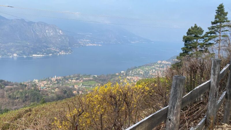 Bellagio: Exclusive picnic at the agrofarm with scenic view - The Scenic Belvedere Macallè: A Viewpoint to Remember