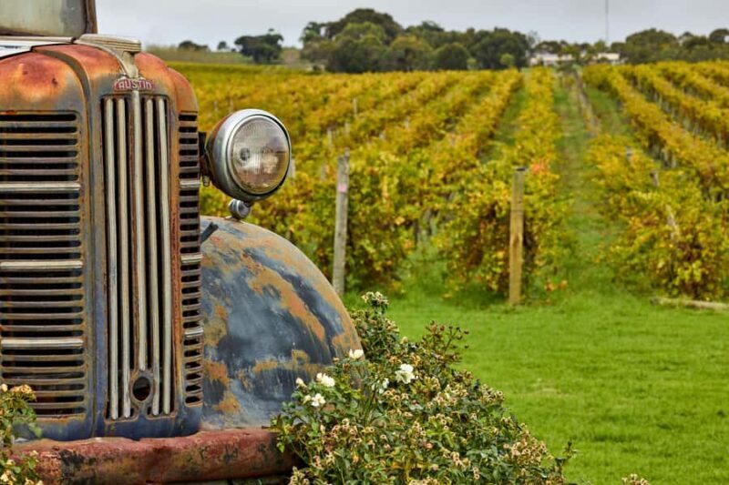 Bellarine Winery: Texas BBQ Platter Lunch with Wine - Practical Tips for Visitors