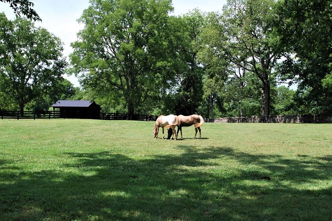 Belle Meade Guided Mansion Tour With Complimentary Wine Tasting - Recap