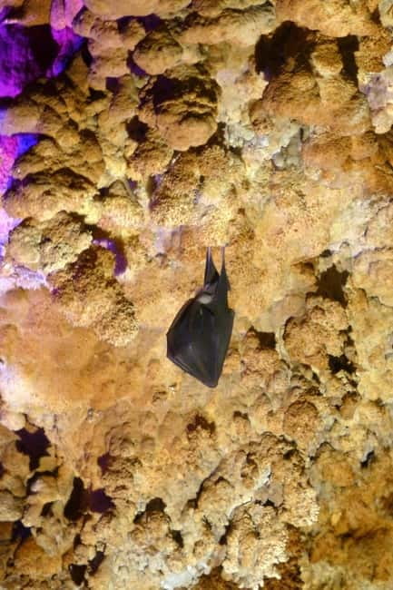 Belogradchik Rocks & Venetsa cave- small group tour - Practical Details and Whats Included