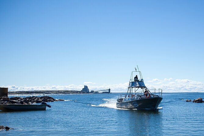 Belugas, Bears and Blooms in Churchill Manitoba - Discovering Belugas