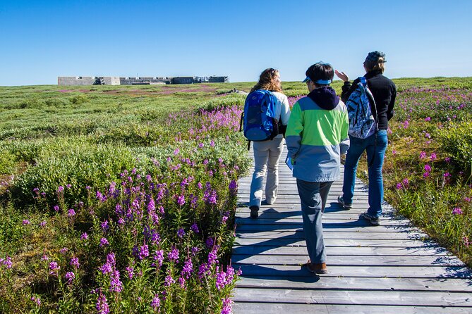 Belugas, Bears and Blooms in Churchill Manitoba - Admiring the Blooms