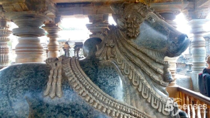 Belur and Halebid: Private Tour With Heritage Guide - Hoysalesvara and Shantalesvara Temples