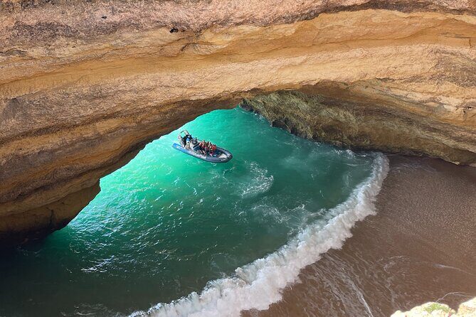 Benagil and Dolphin Watching Boat Tour with Marine Biologists - Key Points