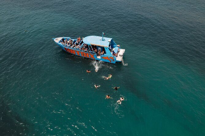 Benagil Caves and Dolphin Watching - 2.5h - The Sum Up