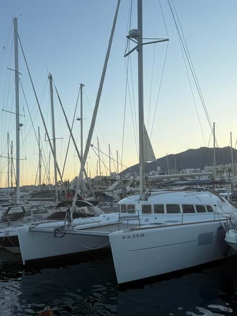 Benalmádena 2-hour Group Tour with Dolphin Watching - The Value of This Experience