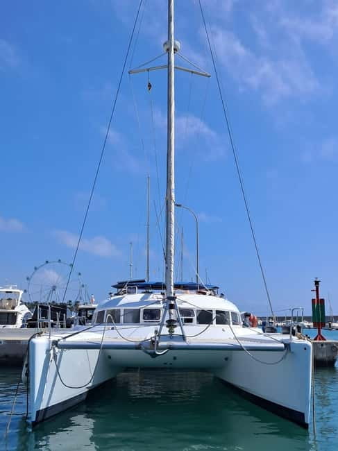 Benalmádena 2-hour Group Tour with Dolphin Watching - The Sum Up: Who Should Consider This Tour?