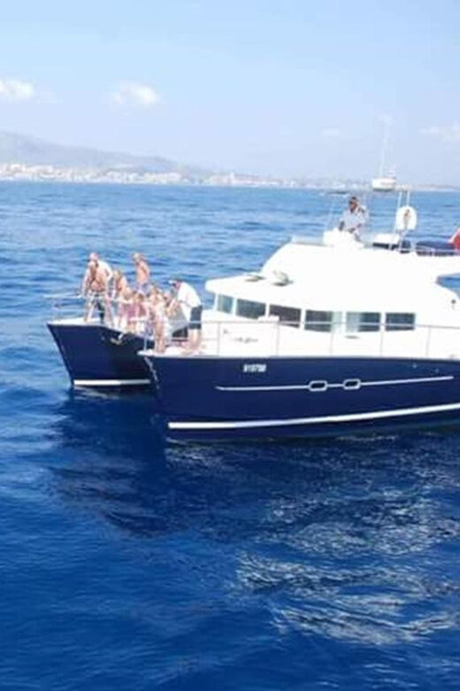 t7256563