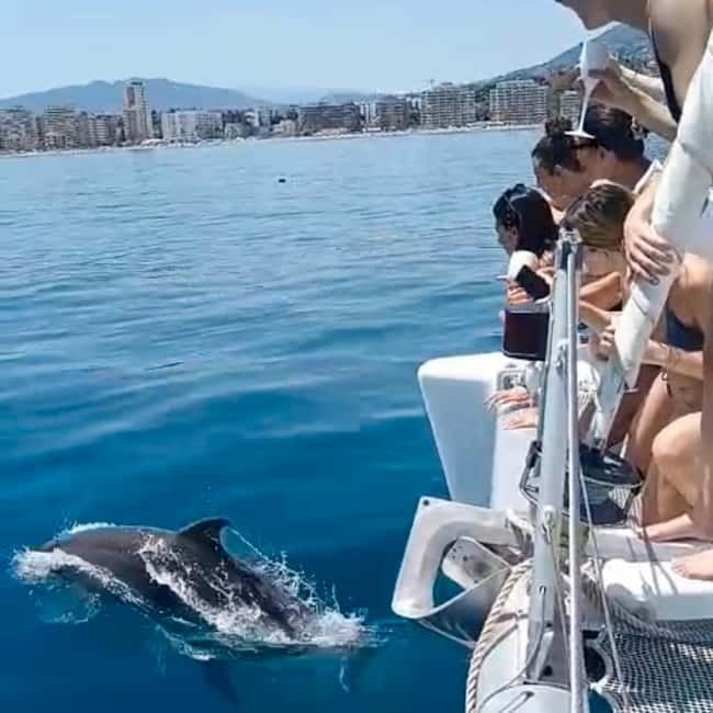 Benalmádena: Catamaran with dolphin watching and drinks - A Deep Dive into the Experience  