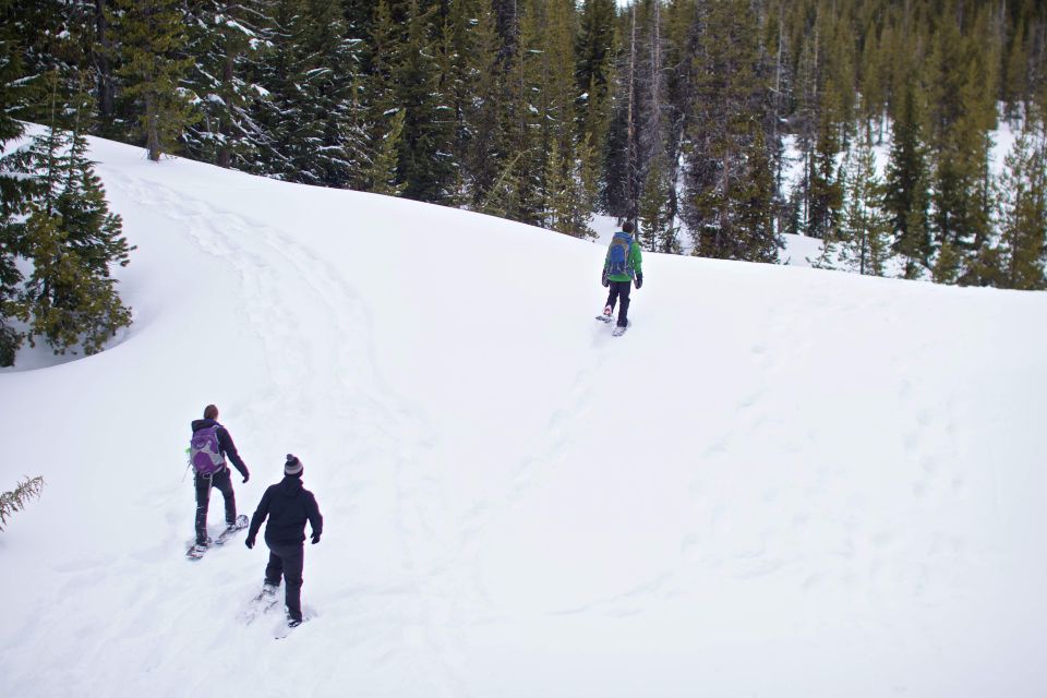 Bend: Half-Day Shoes, Brews, and Views Tour - Key Points
