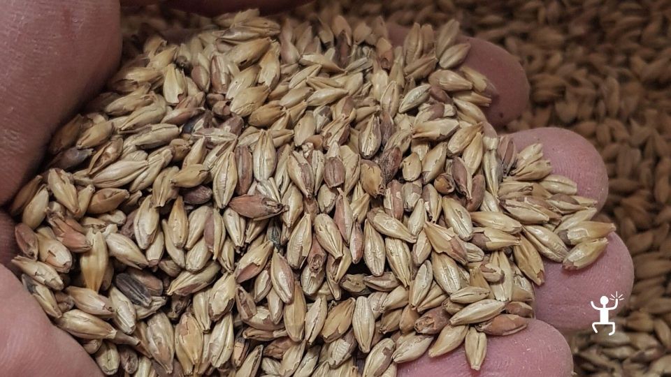 Benevento: Visit and Guided Tasting at a Craft Brewery - Key Points