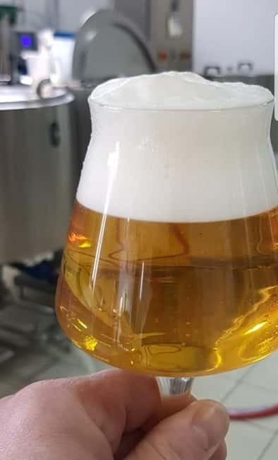 Benevento: visit and tasting at a brewery in Apollosa - Who Will Love This Tour?
