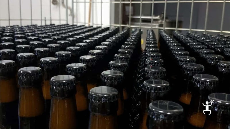 Benevento: visit and tasting at a brewery in Apollosa - The Sum Up