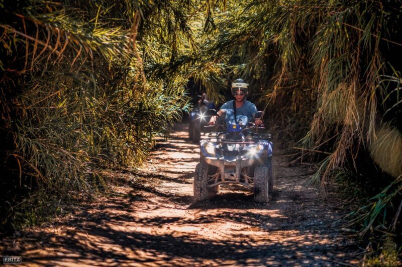 Benidorm: Jungle or Algar Waterfalls Quad Tour - Key Points