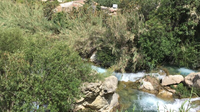 Benidorm: Jungle or Algar Waterfalls Quad Tour - Jungle Tour and Algar Waterfalls Tour Options