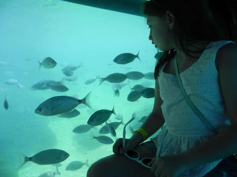 Benidorm: Peacock Island Boat Trip with Submarine included. - Starting Point: Benidorm Old Town