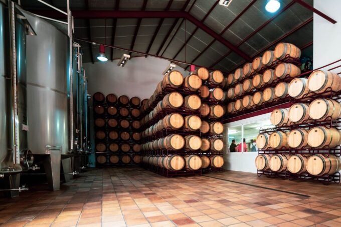 Benidorm: Private City Highlights Tour With Wine Tasting - Ancient Olive Tree