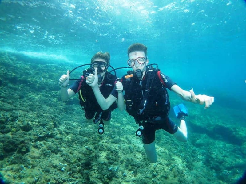 Benidorm: Scuba Diving Experience - What This Experience Offers
