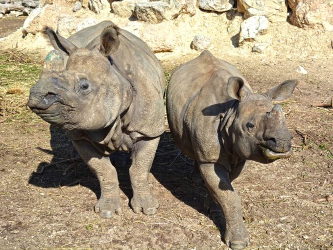 Benidorm: Terra Natura and Aqua Natura Combo Day Ticket - Customer Reviews and Ratings