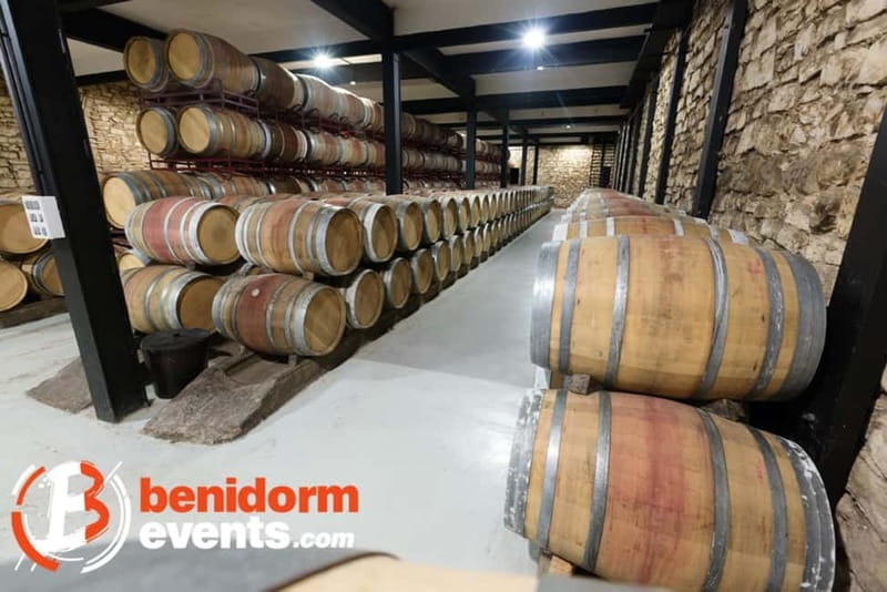 Benidorm: Winery Tour with Wine and Tapas Tasting - Key Points