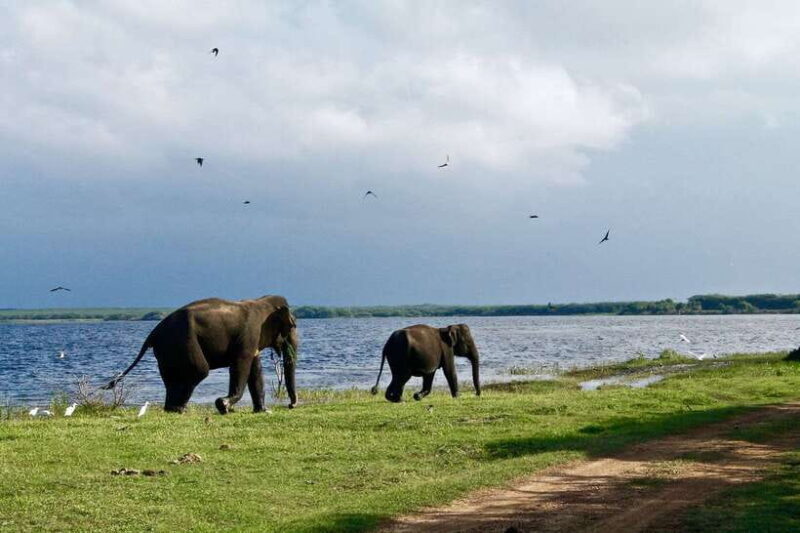 Bentota: 2-Day Private Tour Wild; Wonders And Galle Fort - The Second Day: From Nature to Heritage