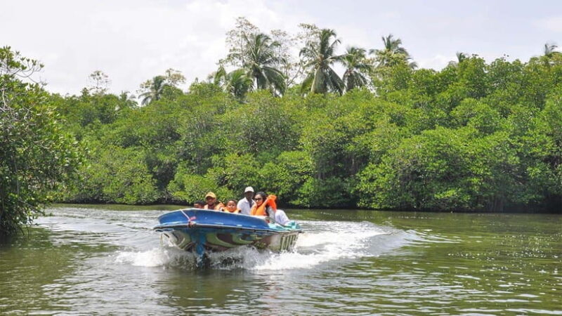 Bentota City Tour from Unawatuna - Authentic Experiences That Stand Out