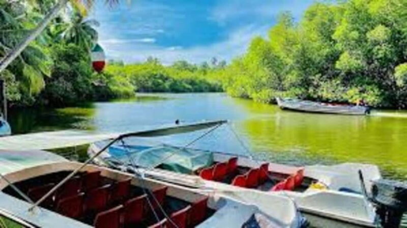 BENTOTA DAY TOUR BY TUKTUK(PRIVATE) - Transport and Group Size