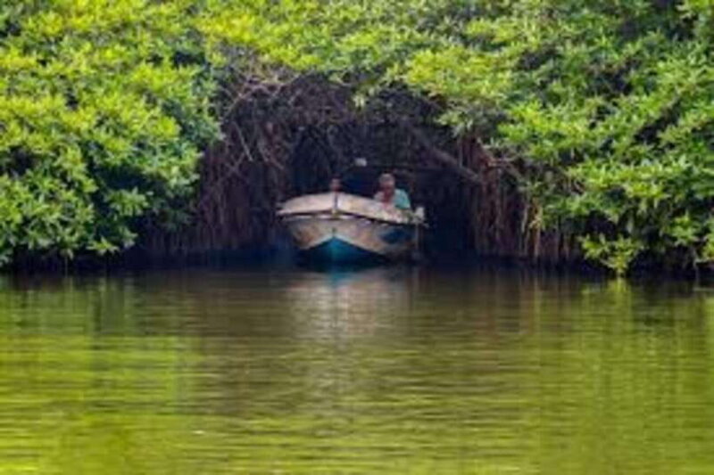 BENTOTA DAY TOUR BY TUKTUK(PRIVATE) - Value and Practical Considerations