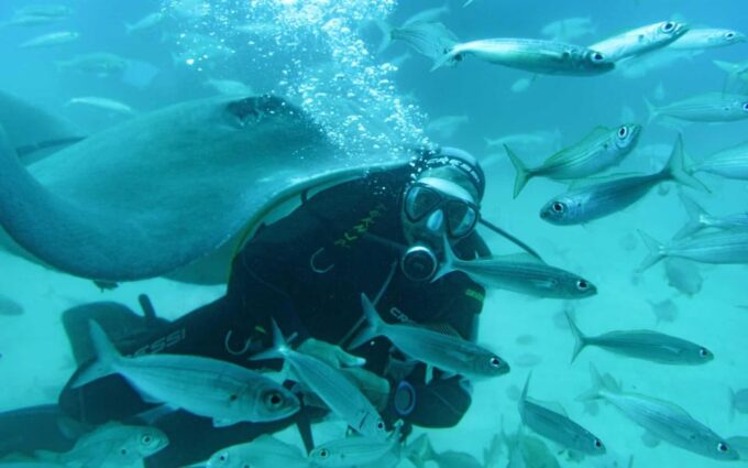 Bentota & Galle Day Tour From Colombo by Car / Van - Frequently Asked Questions