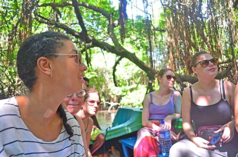 Bentota: River Boat Safari - The Sum Up