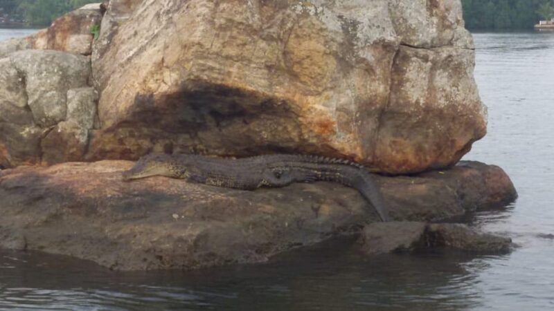Bentota River Safari - Inclusions
