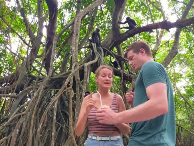 Bentota River Safari - Transportation Details