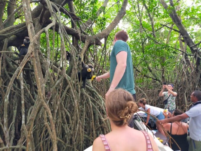 Bentota River Safari - Frequently Asked Questions