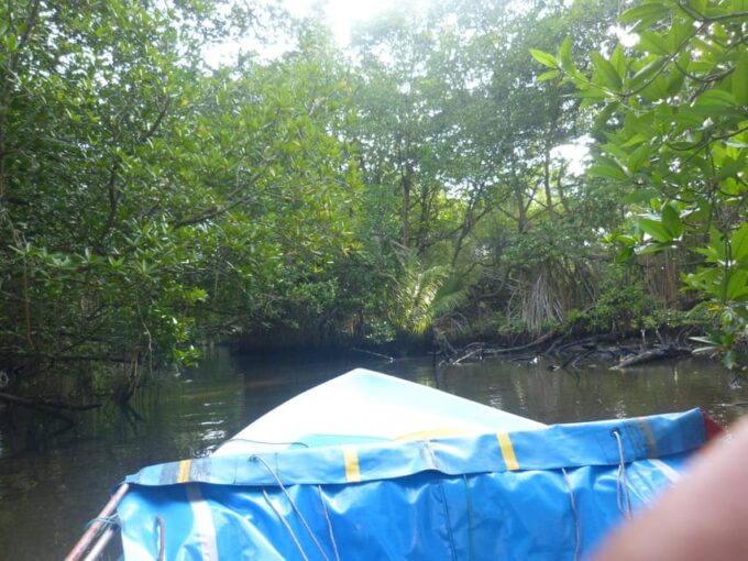 Bentota River Safari, Crocodiles, Monkeys, Mangrove & More - Frequently Asked Questions