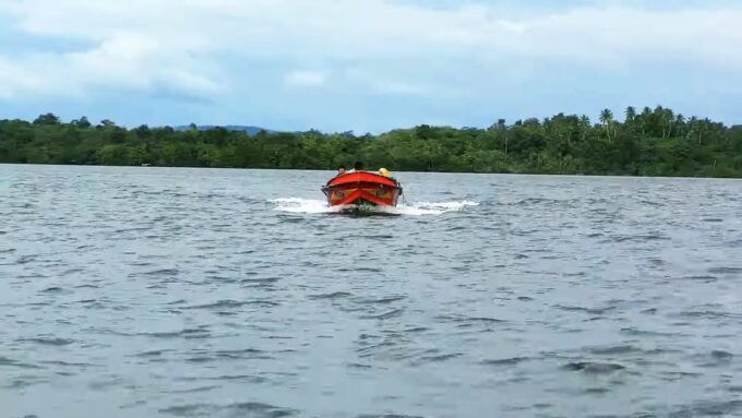 Bentota: Swampboat Ride Through Mangrove Forest - Customer Feedback and Ratings