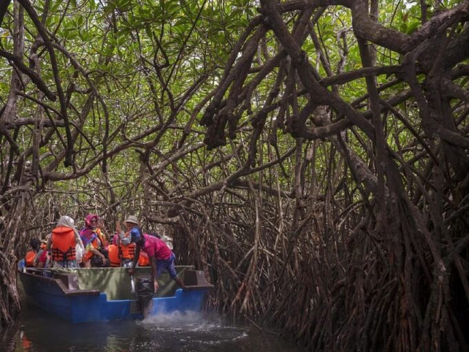 Bentota: Swampboat Ride Through Mangrove Forest - Frequently Asked Questions