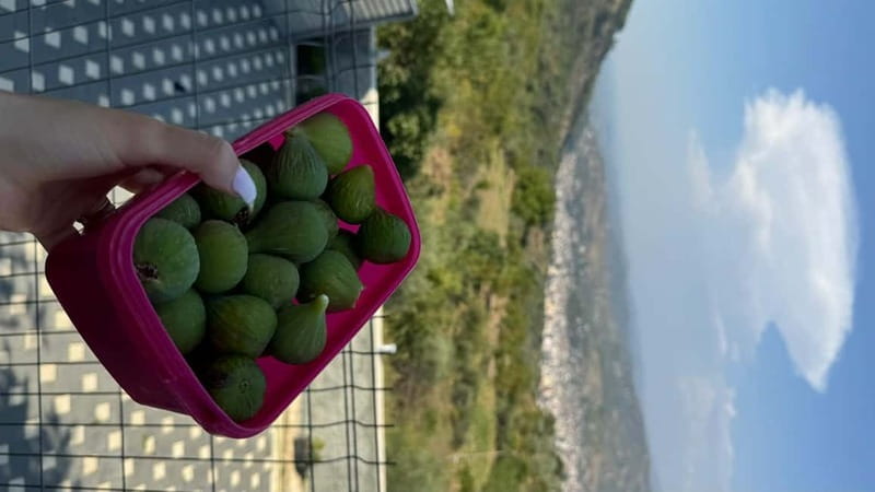 Berat: Farm-to-Table Cooking Class with Local Family - Final Thoughts
