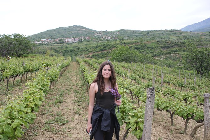 Berat Grand Wine Tasting & Food Tour - Cancellation Policy and Refund