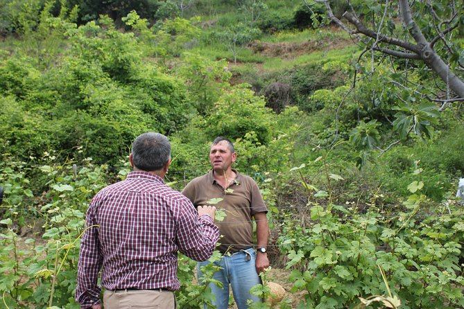 Berat Grand Wine Tasting & Food Tour - Winery Visits and Tastings