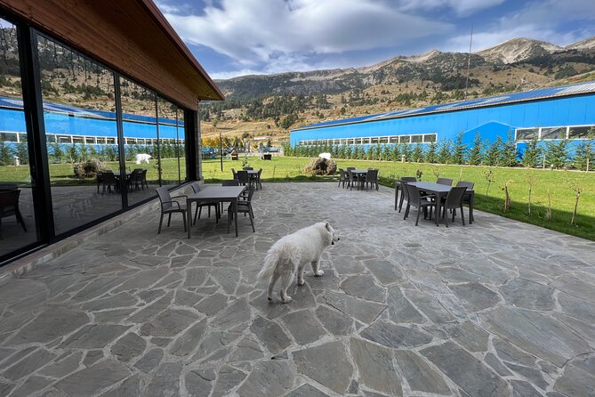 Berat off Road Tour to Cuka E Tomorrit 2416M - Booking Information