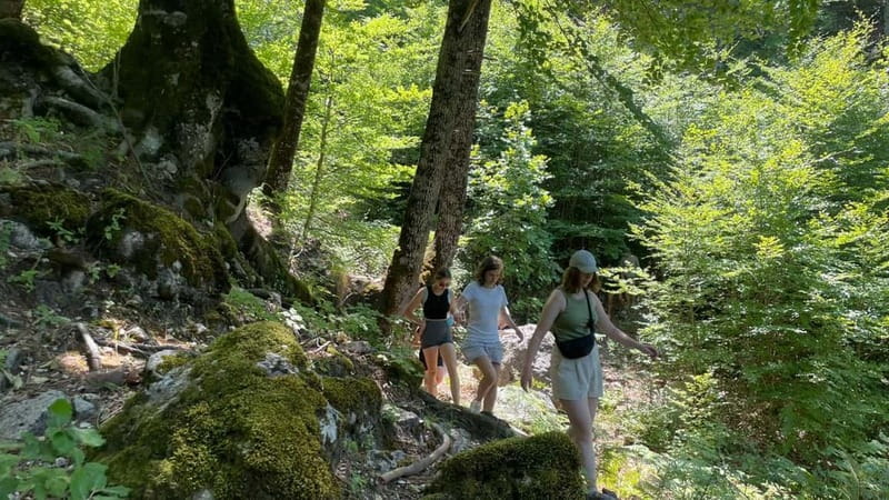 Berat: Tomorr Mountain and Lakes of Dardhë Day Trip - Exploring Tomorr Mountain National Park
