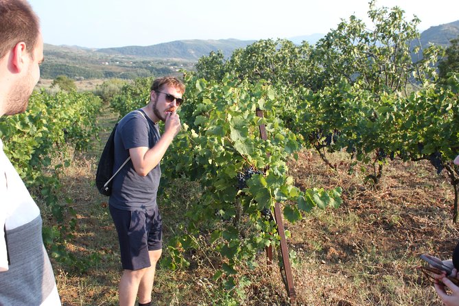 Berat Wine Tour Guided Winery Tour With Transfers and Tastings - Transportation